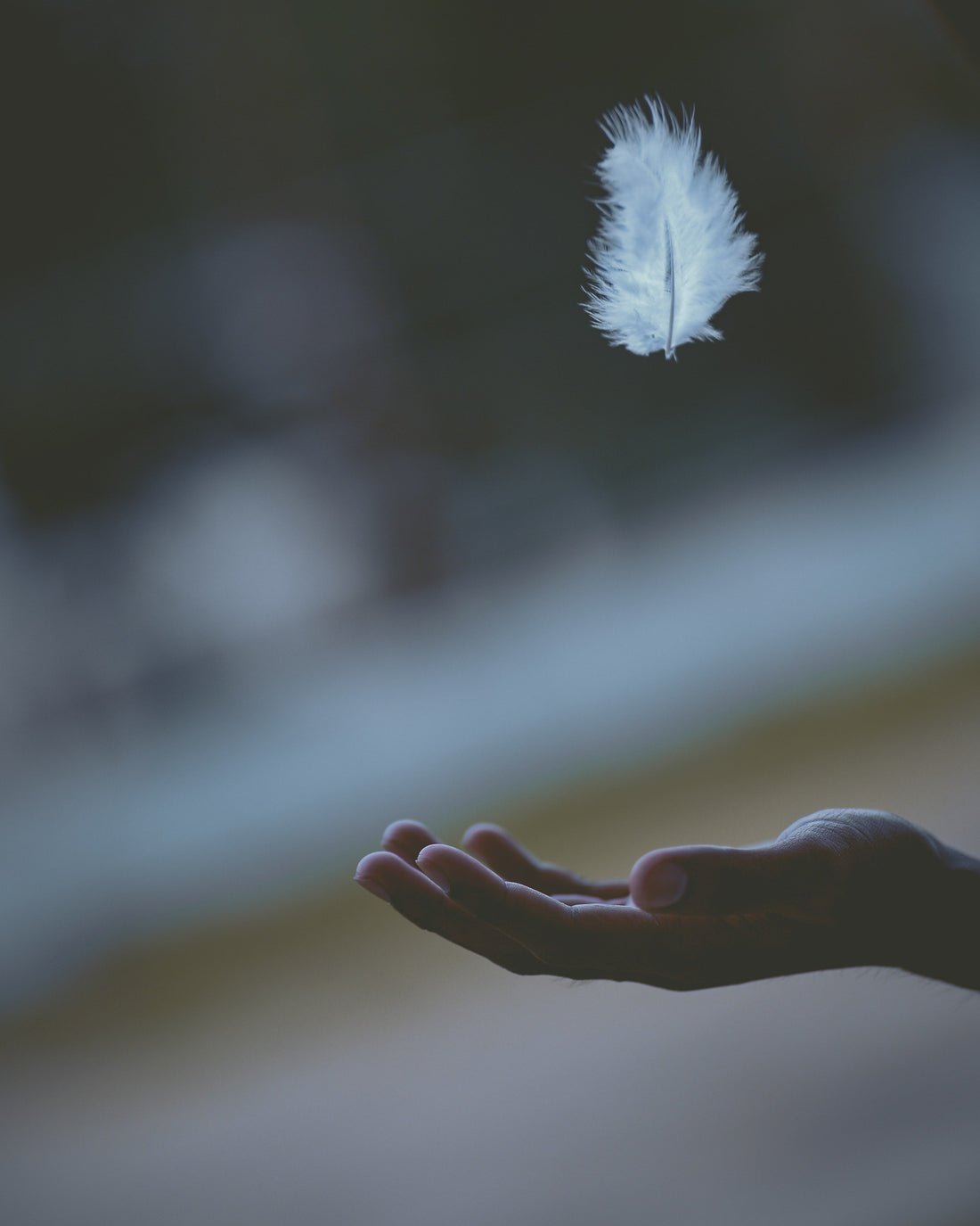 Learn about Reiki Energy Healing and Tarot