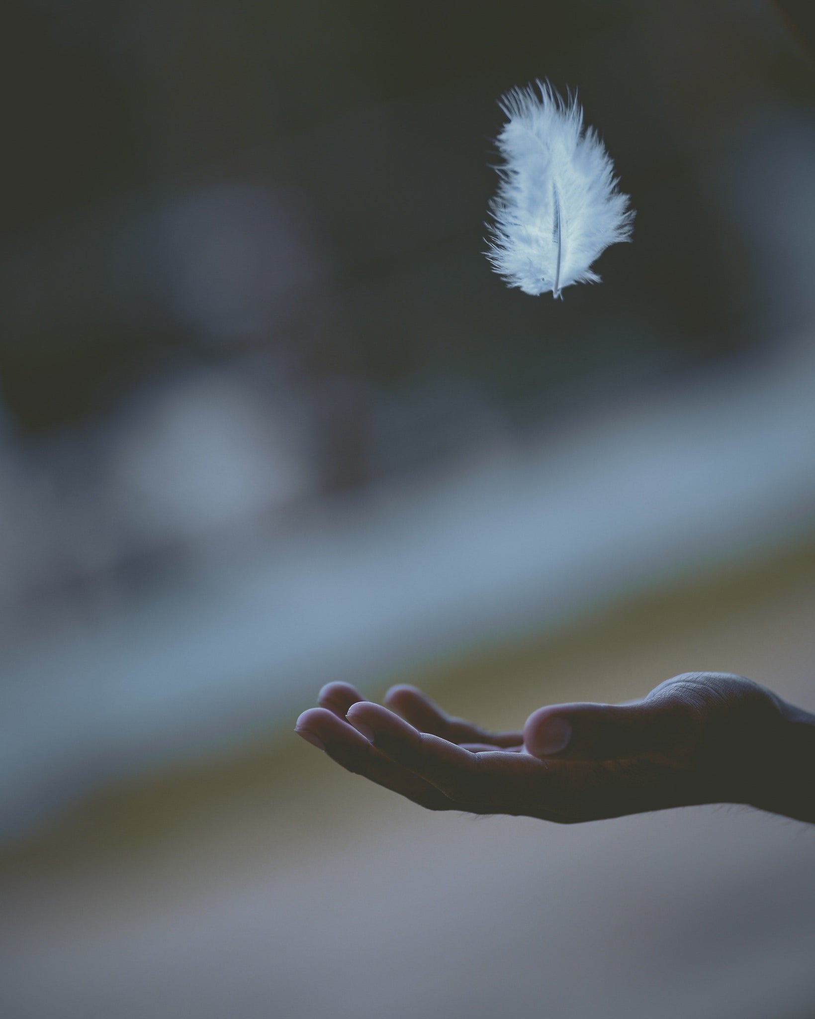 Learn more about Reiki Energy Healing