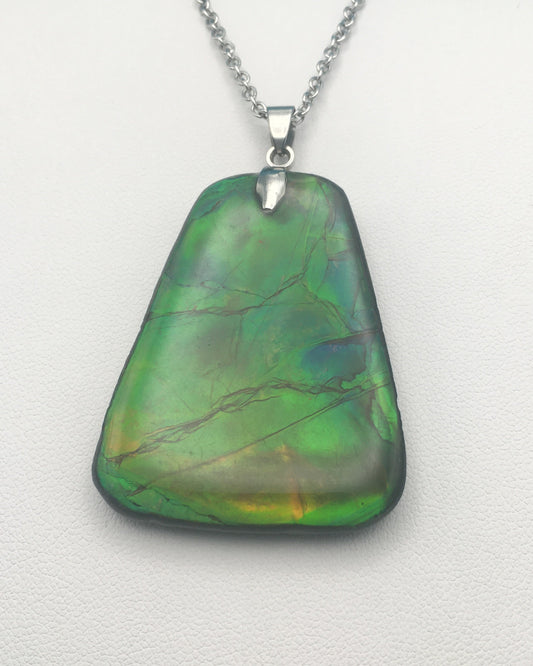 Ammolite Pendant